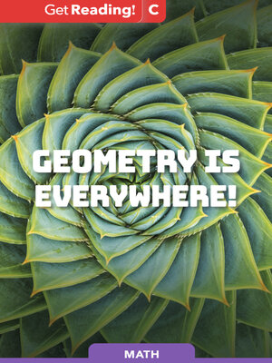 cover image of Geometry Is Everywhere!